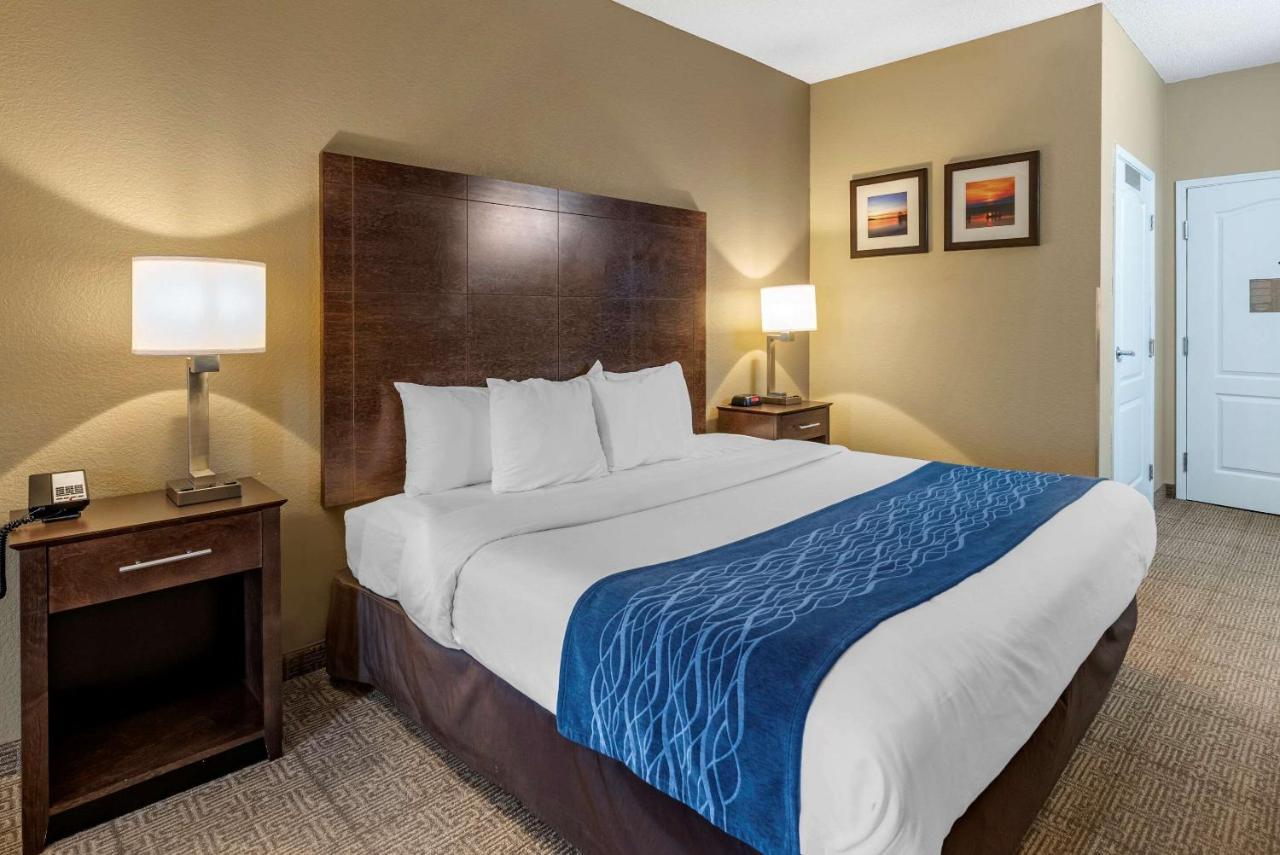 Comfort Inn & Suites Bryant - Benton Buitenkant foto